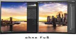 LG 34UC88-B 34-Zoll Curved Monitor 3440x1440 HDMI DP Lautsprecher 5ms schwarz ohne Fuß