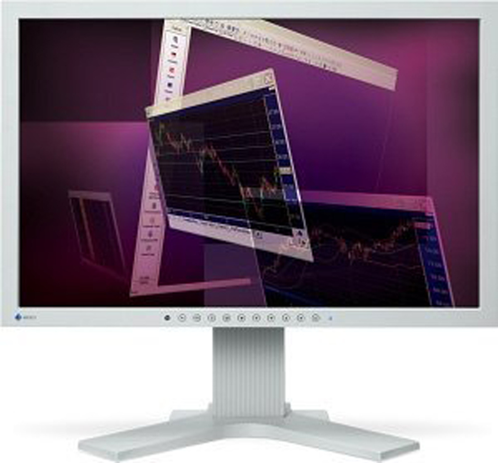 Eizo Flexscan S2231W 22-Zoll Monitor VA WSXGA+ 1680x1050 DVI VGA USB Lautsprecher 8ms Grau Gut - Refurbished