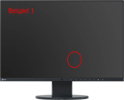 Eizo FlexScan EV2455 24,1 Zoll Monitor IPS WUXGA 1920x1200 Lautsprecher DP HDMI DVI VGA USB 5ms schwarz Displaykratzer - Gebraucht