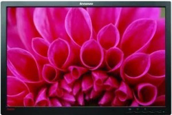 Lenovo ThinkVision LT2452p 24-inch Monitor IPS WUXGA 1920x1200 DP VGA DVI USB 7ms black without stand