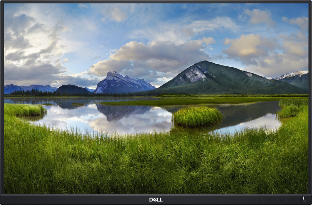 Dell P2421 24.1-inch Monitor IPS WUXGA 1920x1200 DP HDMI DVI VGA USB 5ms black without stand Display scratches - Used