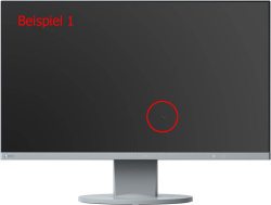 Eizo FlexScan EV2450 23.8-inch Monitor IPS FHD 1920x1080 Lautsprecher DP HDMI USB 5ms grey Display scratches - Used