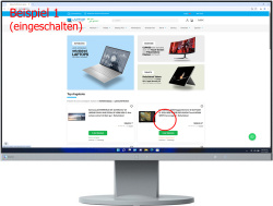 Eizo FlexScan EV2450 23.8-inch Monitor IPS FHD 1920x1080 Lautsprecher DP HDMI USB 5ms grey Display scratches - Used