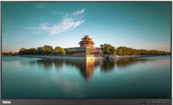 Lenovo ThinkVision P27q-10 27-Zoll Monitor IPS WQHD 2560x1440 DP HDMI MiniDP USB 4ms schwarz ohne Fuß Sehr gut - Refurbished