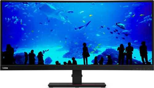 Lenovo ThinkVision T34w-20 34-Zoll Monitor VA UWQHD...