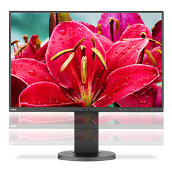 NEC MultiSync EA245WMi-BK 24-Zoll Monitor IPS WUXGA 1920x1200 DP HDMI VGA DVI USB Lautsprecher 6ms schwarz Sehr gut - Refurbished