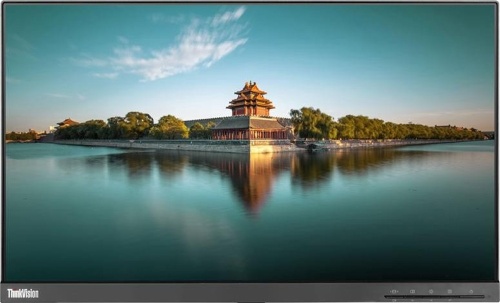 Lenovo ThinkVision T22i-10 21.5-inch Monitor IPS FHD...
